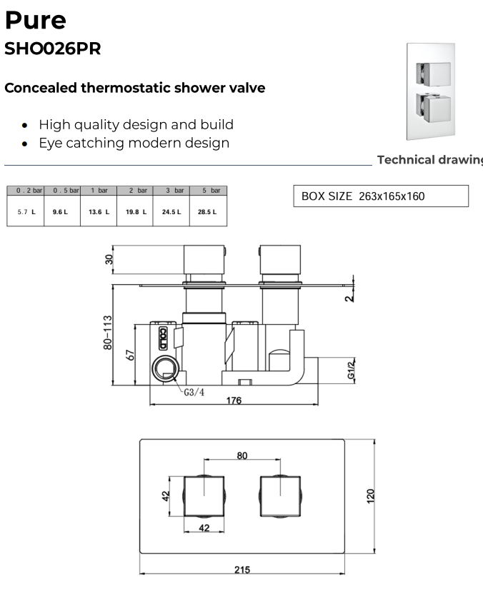 Pure Thermostatic Concealed Shower with Slide Rail Kit